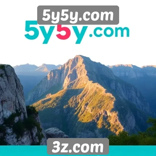 Guia para iniciantes sobre o 5y5y.com